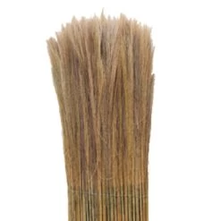 Balkonscherm Varen Ca. 100x300 Cm