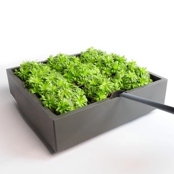 Muurhanger Verticaal Tuinieren - Afbeelding 2